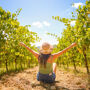 Chianti Vineyards: Half-Day Tour from Florence with Wine Tastings