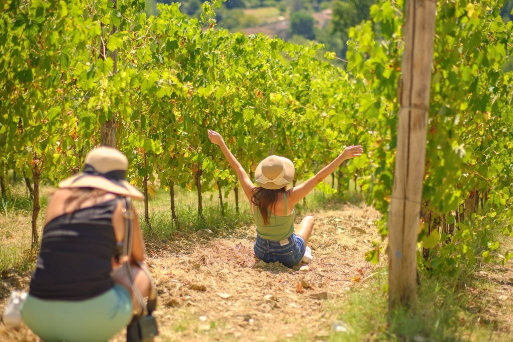 Vignobles du Chianti : Excursion d'une demi-journée au départ de Florence avec dégustations de vins