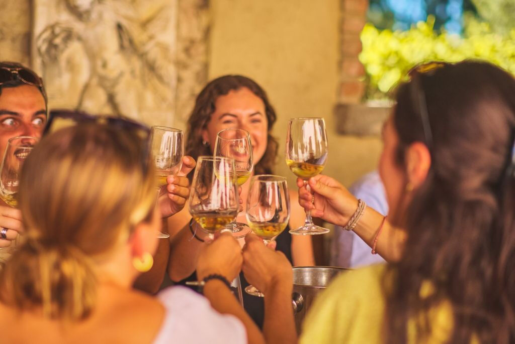Vignobles du Chianti : Excursion d'une demi-journée au départ de Florence avec dégustations de vins