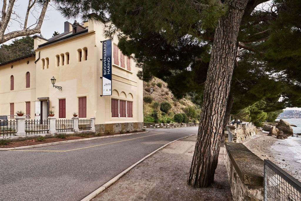 Trieste: Biodiversitario Marino (BioMa)
