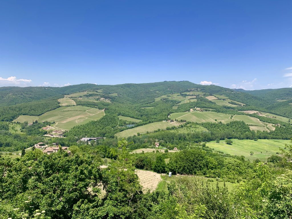 Colinas del Chianti: Experiencia vinícola desde Florencia