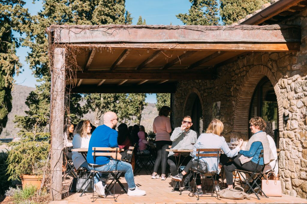 Colinas del Chianti: Experiencia vinícola desde Florencia