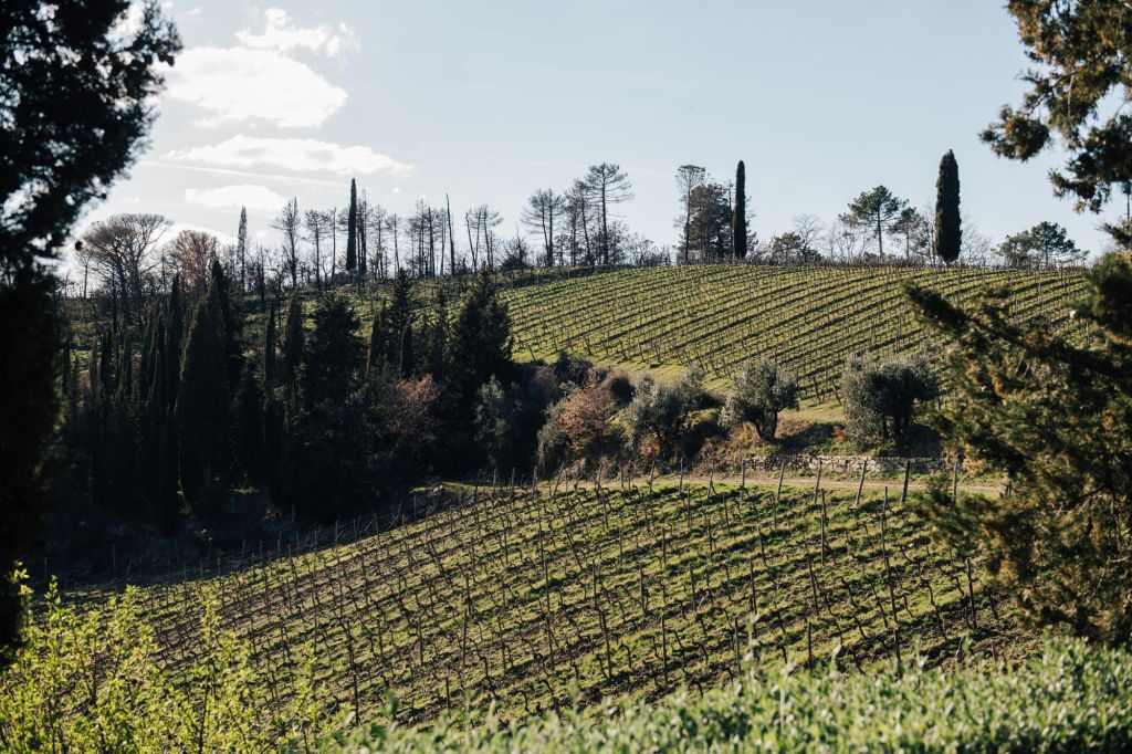 Colinas del Chianti: Experiencia vinícola desde Florencia