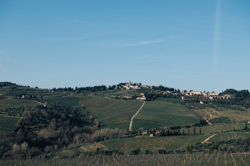 Colinas de Chianti: Experiência vinícola a partir de Florença