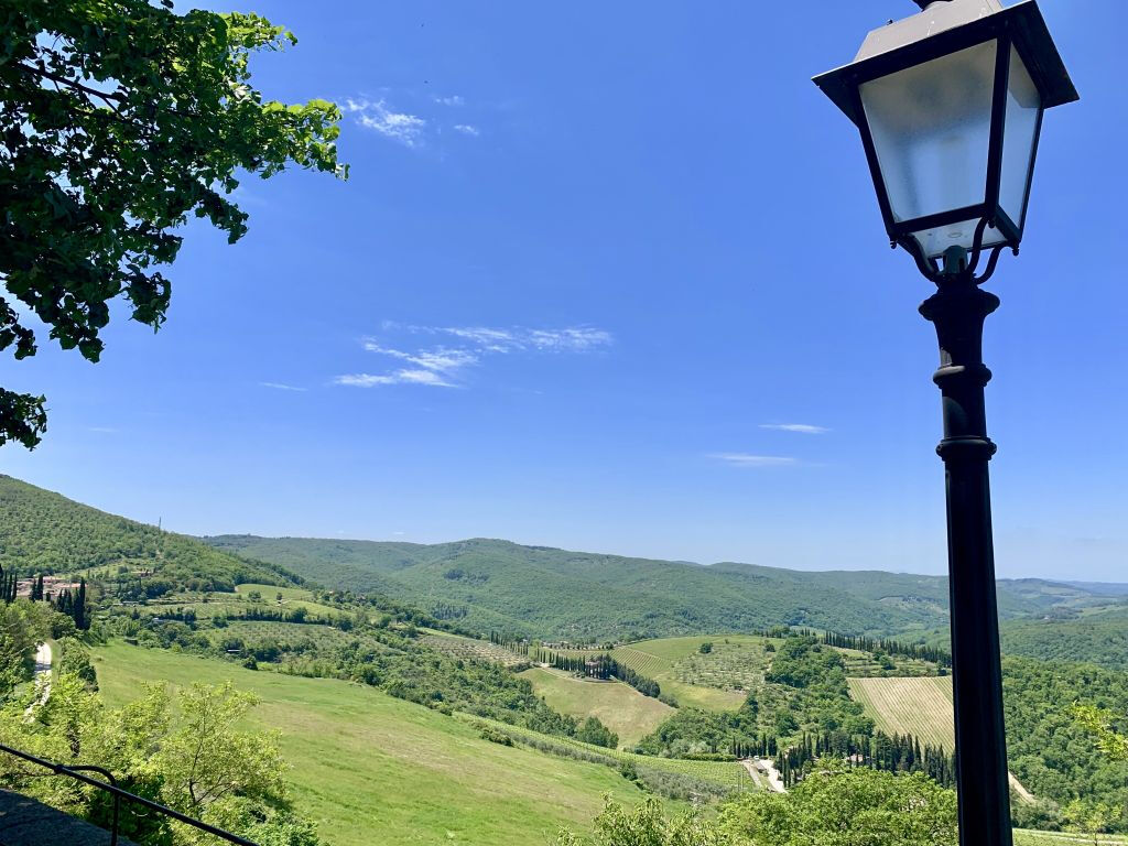 Colinas del Chianti: Experiencia vinícola desde Florencia