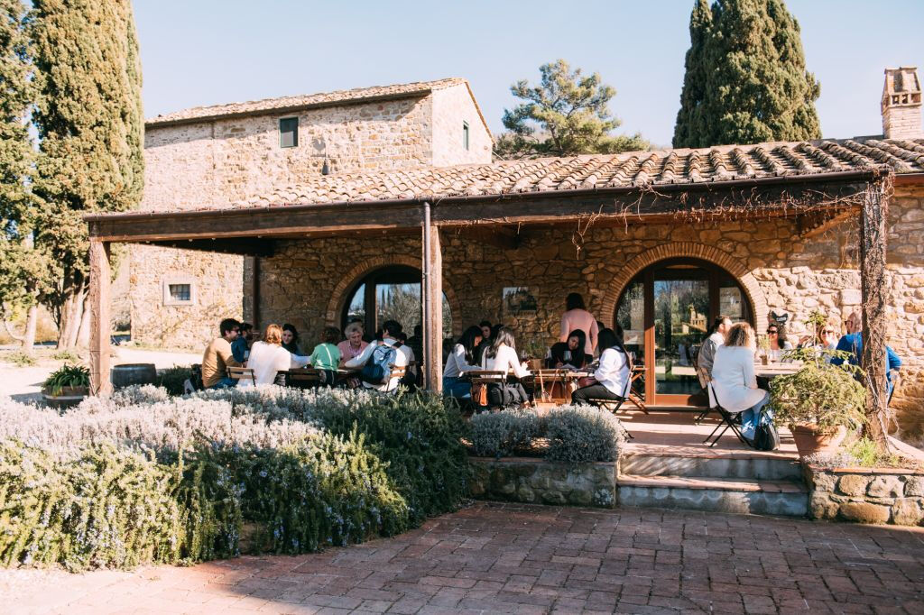Colinas del Chianti: Experiencia vinícola desde Florencia