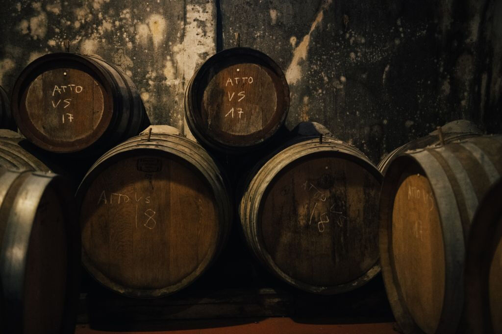 Colinas del Chianti: Experiencia vinícola desde Florencia