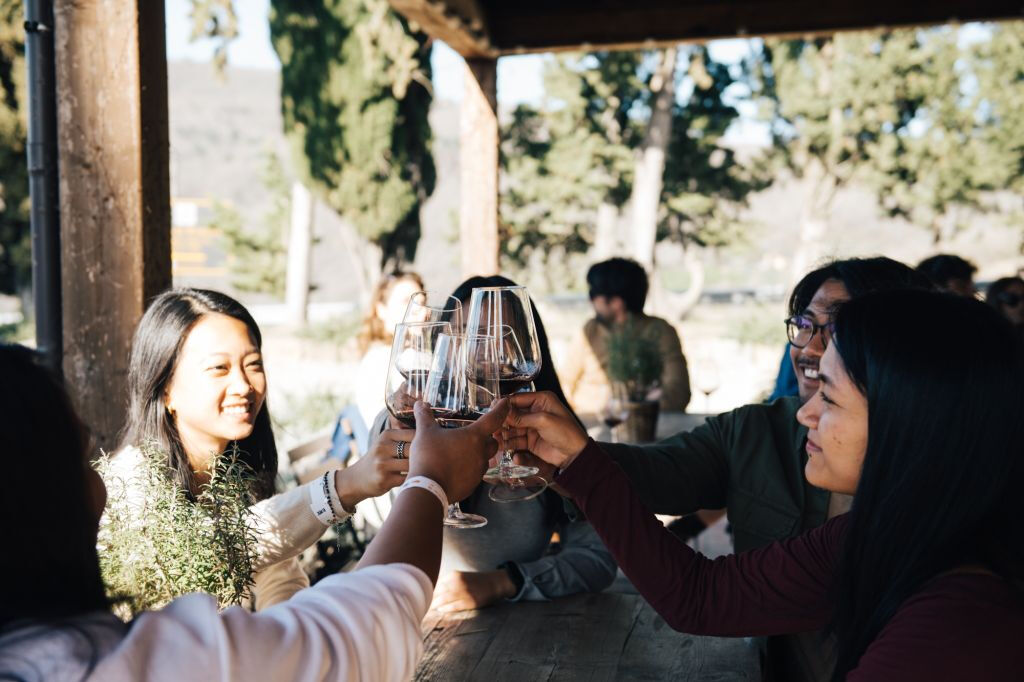 Colinas del Chianti: Experiencia vinícola desde Florencia