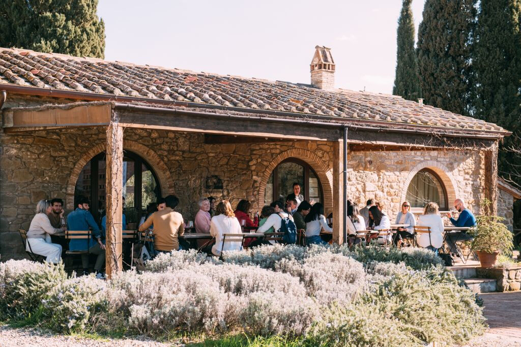Colinas del Chianti: Experiencia vinícola desde Florencia