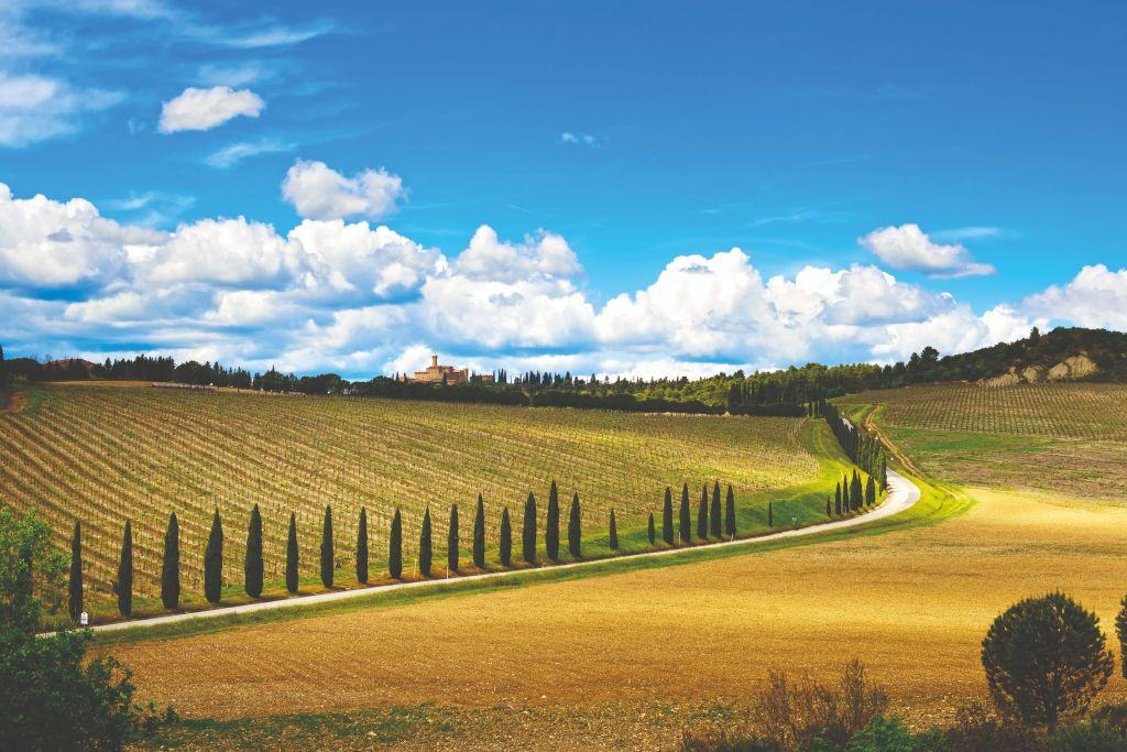 Siena, San Gimignano e Pisa: Viagem de um dia saindo de Florença + degustação de vinhos