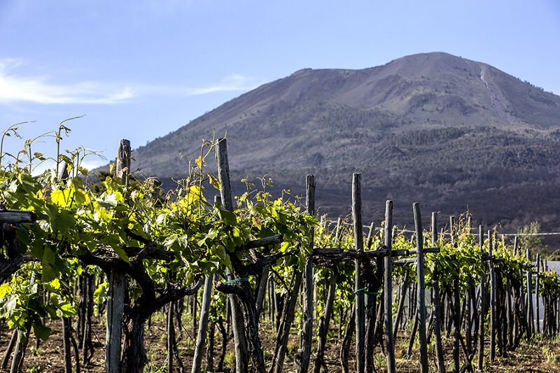 Degustação de vinhos no Vesúvio