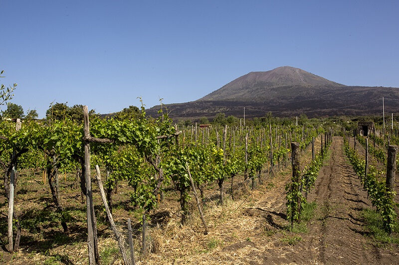 Degustação de vinhos no Vesúvio