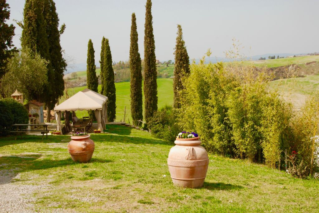 Tuscan Countryside: Day Trip from Rome with Lunch
