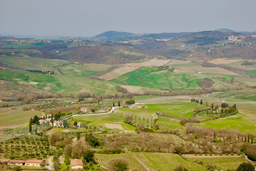Tuscan Countryside: Day Trip from Rome with Lunch
