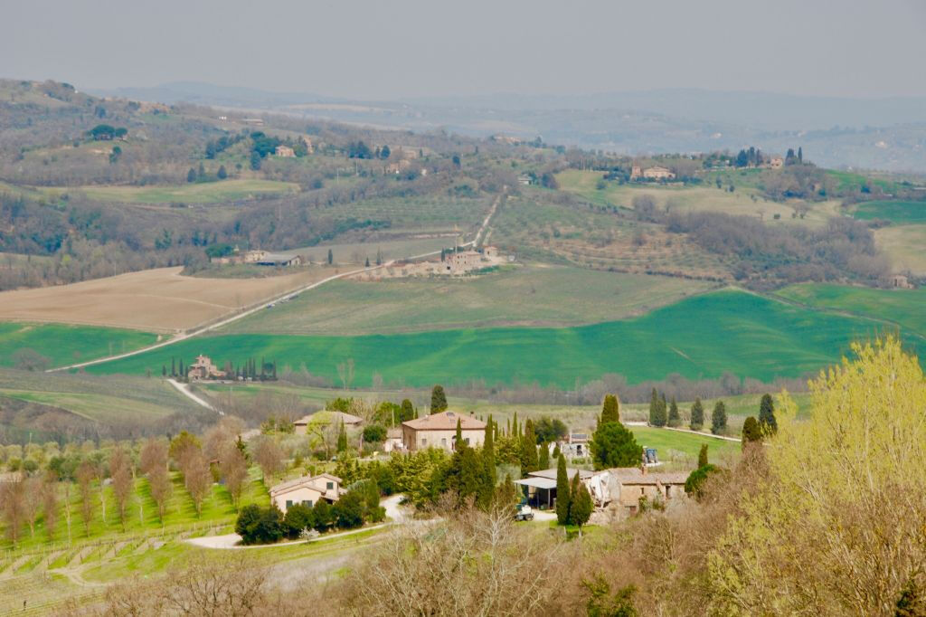 Tuscan Countryside: Day Trip from Rome with Lunch