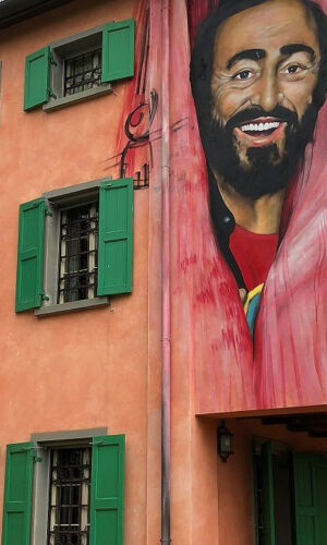 Casa Museo Luciano Pavarotti: Biglietto d'ingresso