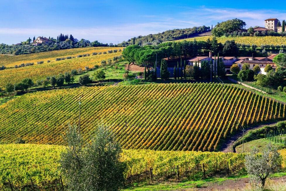 Siena para Montalcino: Tour do Vinho Brunello