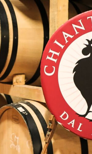 Regione del Chianti: Gita di un giorno da Firenze + Tour dei vigneti