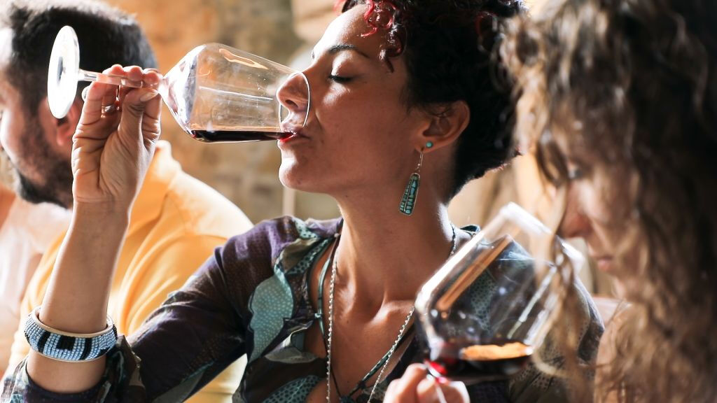 Região de Chianti: Viagem de um dia saindo de Florença + Passeio pelos vinhedos