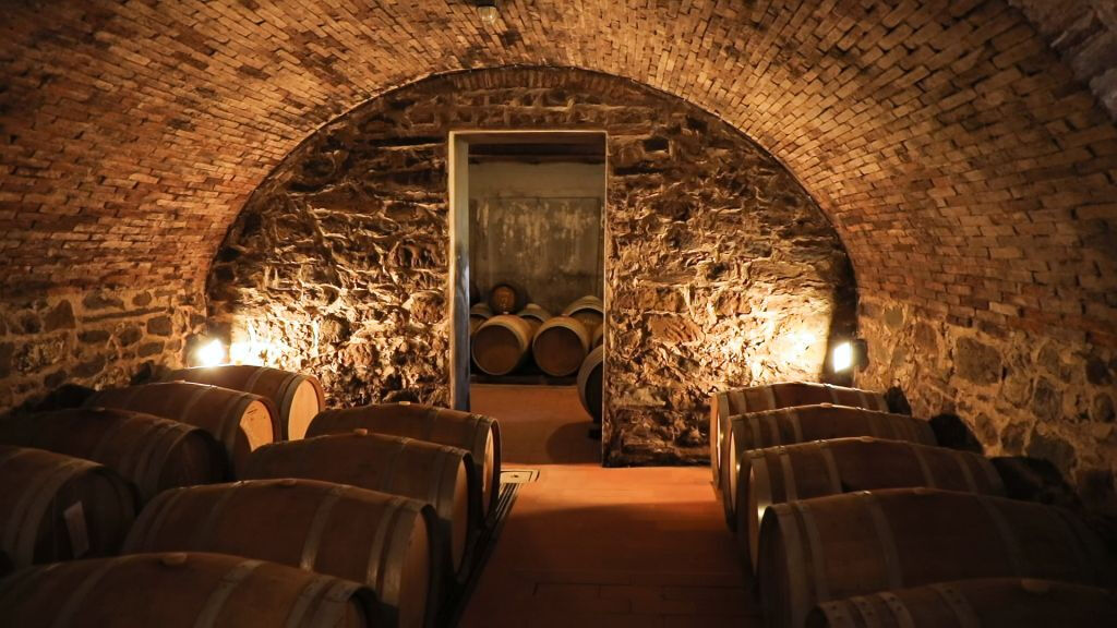 Região de Chianti: Viagem de um dia saindo de Florença + Passeio pelos vinhedos