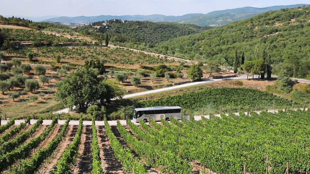 Região de Chianti: Viagem de um dia saindo de Florença + Passeio pelos vinhedos