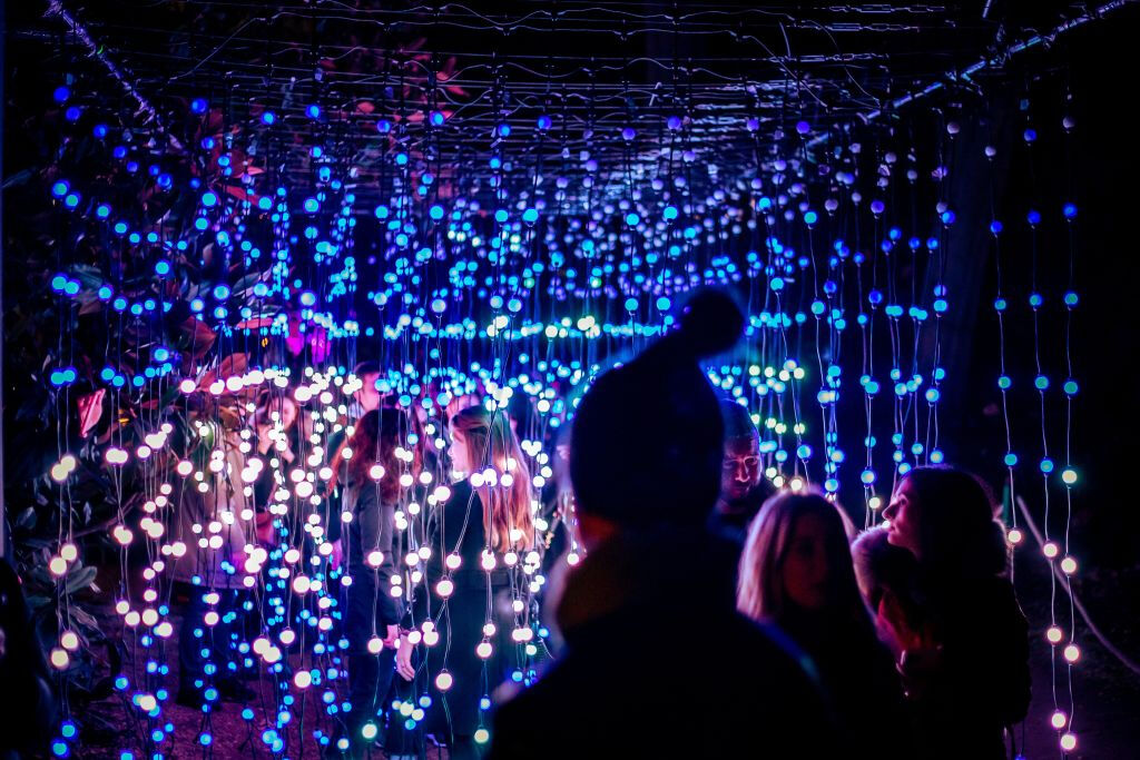 Monza: Biglietto d'ingresso Trame di Luce