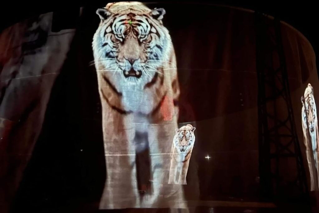 Roma: Esperienza con l'atmosfera del circo