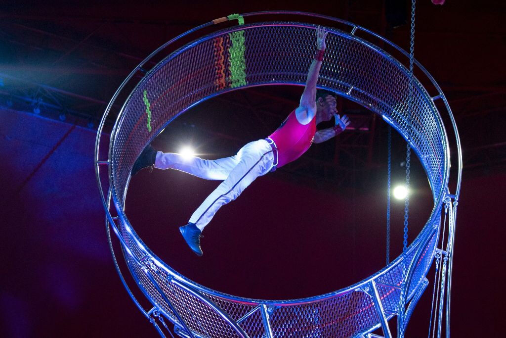 Roma: Esperienza con l'atmosfera del circo