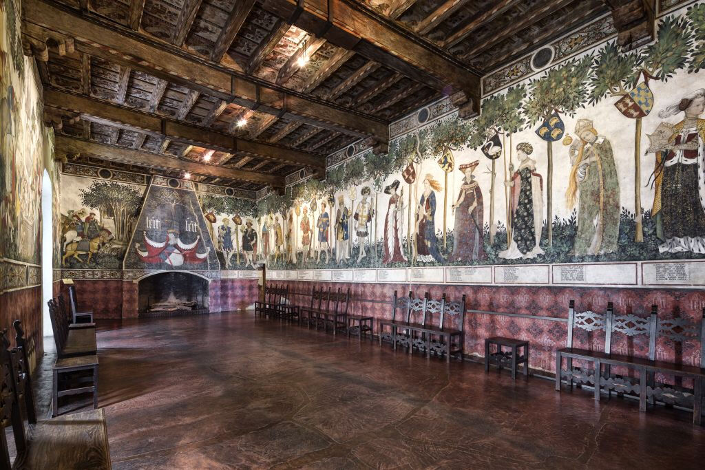 Castello della Manta: Entry Ticket