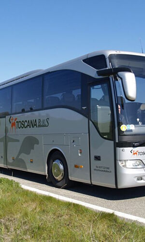 Da Roma: Aeroporto di Fiumicino Terminal 3 - Stazione degli autobus di Grosseto in autobus