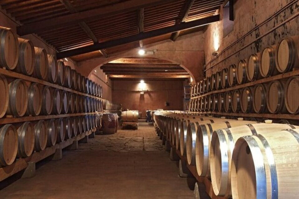 Val D'Orcia: Tour de degustação de vinhos + ida e volta de Siena