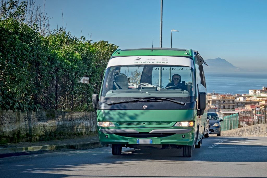 Vesuvio e Pompei: Tour di un giorno intero da Roma