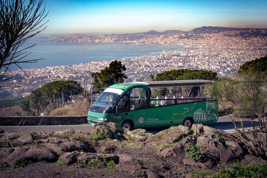Vesuvio e Pompei: Tour di un giorno intero da Roma