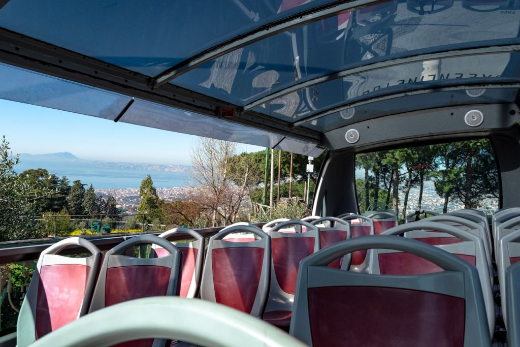 Vesuvio e Pompei: Tour di un giorno intero da Roma