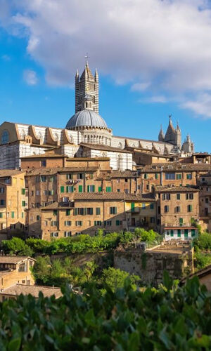 San Gimignano, Siena, Monteriggioni e il Chianti: tour + pranzo + degustazione di vini