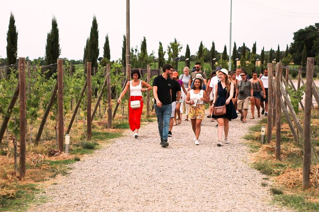 San Gimignano, Siena, Monteriggioni e Chianti: excursão + almoço + degustação de vinhos