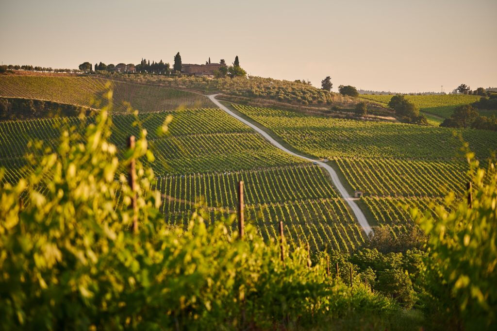 San Gimignano, Siena, Monteriggioni e Chianti: excursão + almoço + degustação de vinhos