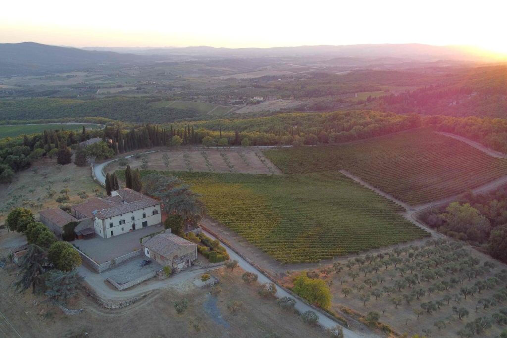 Siena: Degustação de vinhos, azeites e alimentos Mocenni Premium no Vinhedo da Toscana