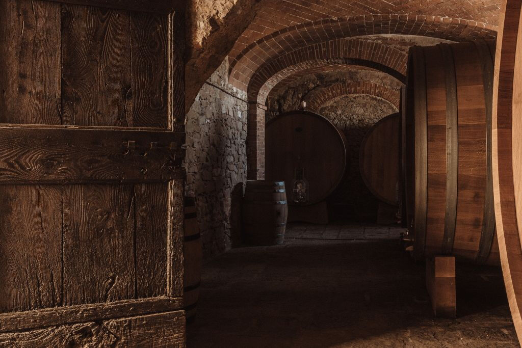 Siena: Degustação de vinhos, azeites e alimentos Mocenni Premium no Vinhedo da Toscana