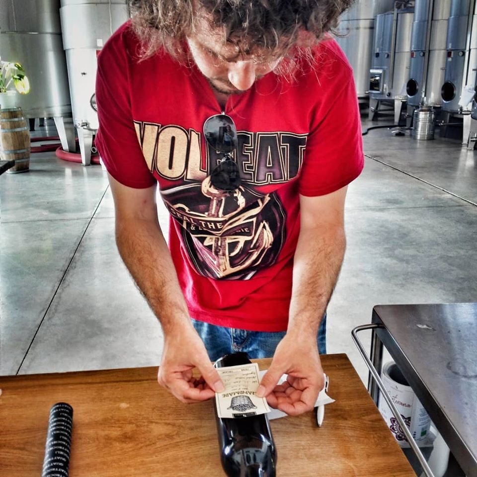 Wine Tasting in Alcamo, Sicily