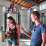 Wine Tasting in Alcamo, Sicily