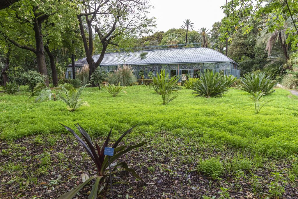 Jardín Botánico de Palermo: Entrada + Postal PemCards