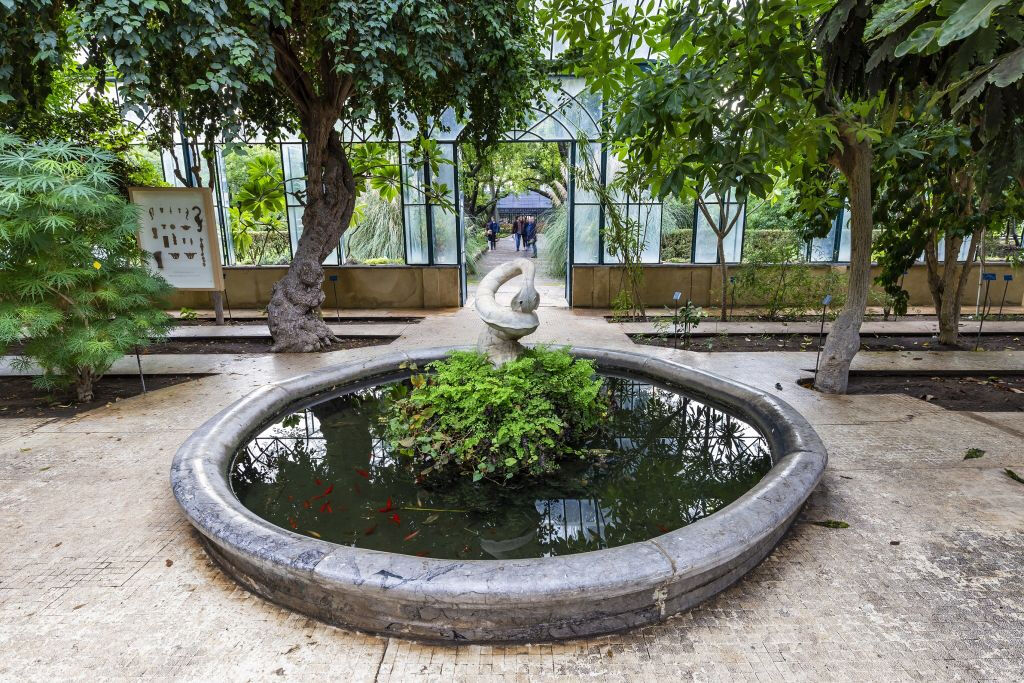 Palermo Botanical Garden: Entry + PemCards Postcard