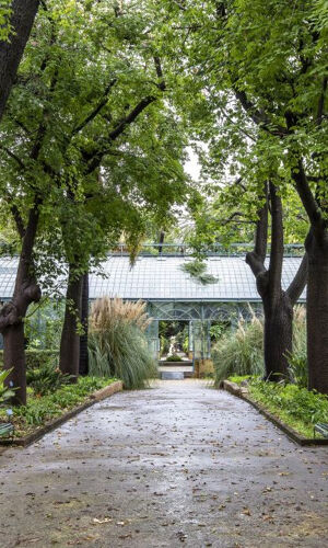 Orto Botanico di Palermo: Ingresso + Cartolina PemCards