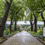 Palermo Botanical Garden: Entry Ticket