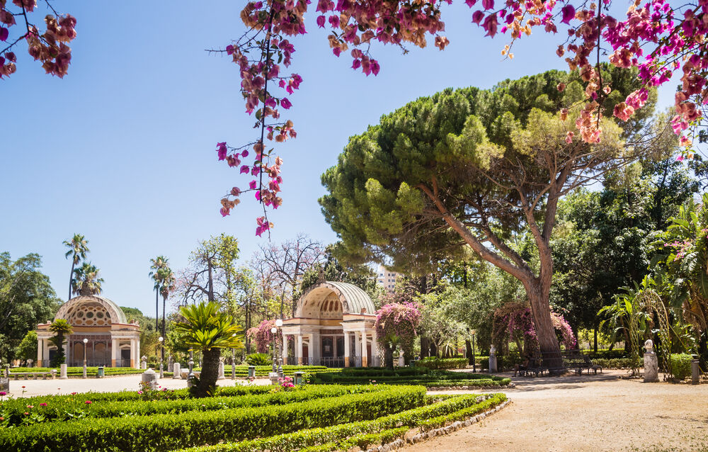 Jardin botanique de Palerme : Entrée + carte postale PemCards