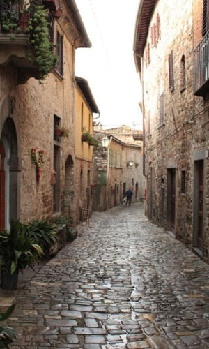 Chianti e San Gimignano, andata e ritorno da Firenze: Degustazione di vini in vigna + pranzo