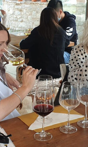 Firenze: Degustazioni di vino e tour in minivan