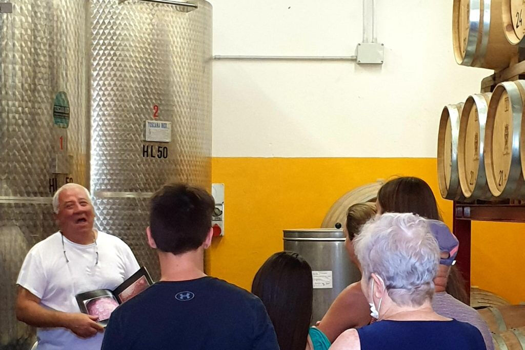 Florença: Degustações de vinho + passeio de minivan