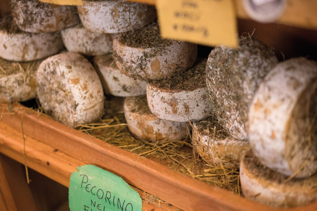 Pienza y Montepulciano: Excursión enológica de un día desde Florencia
